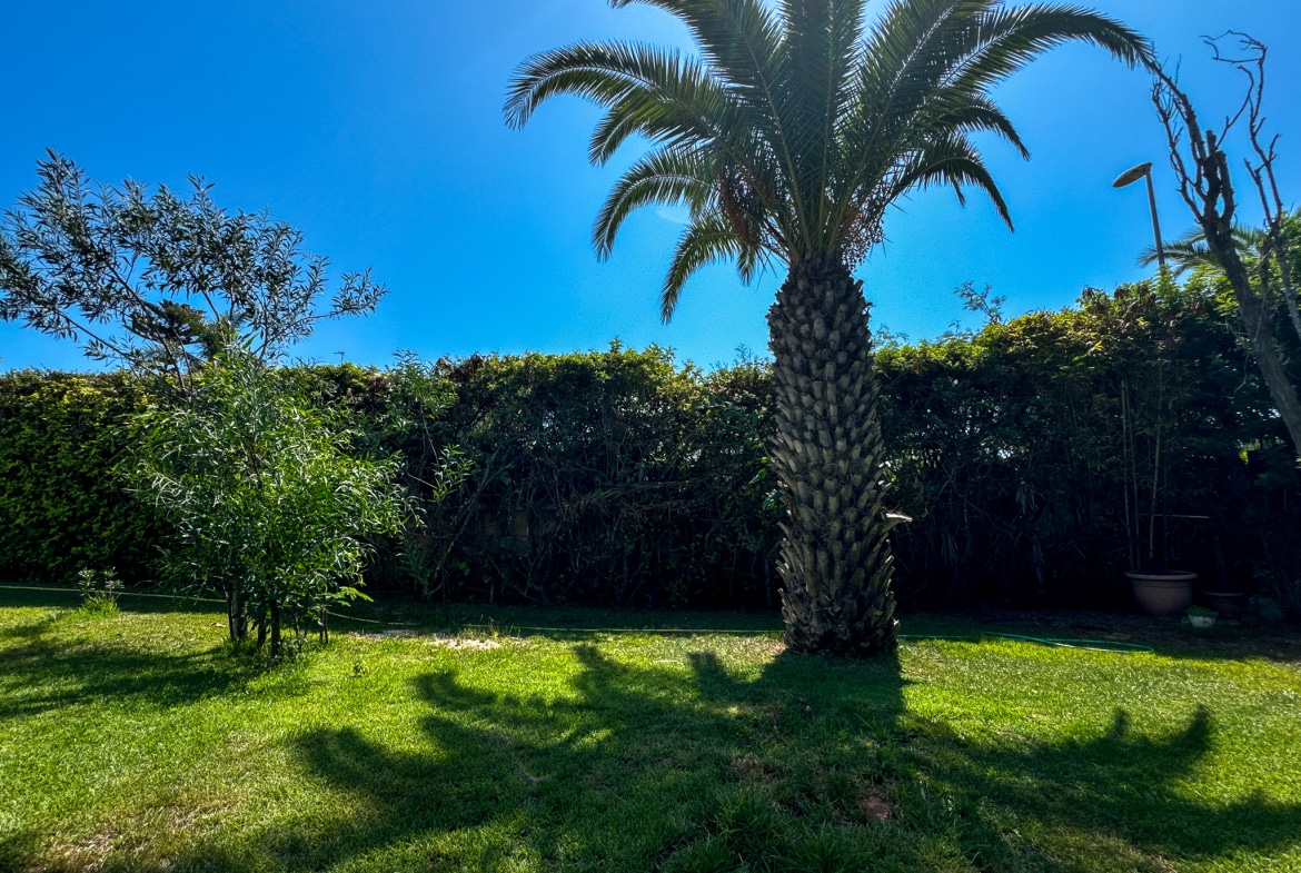 ardin méditerranéen villa à louer Aïn Diab Casablanca